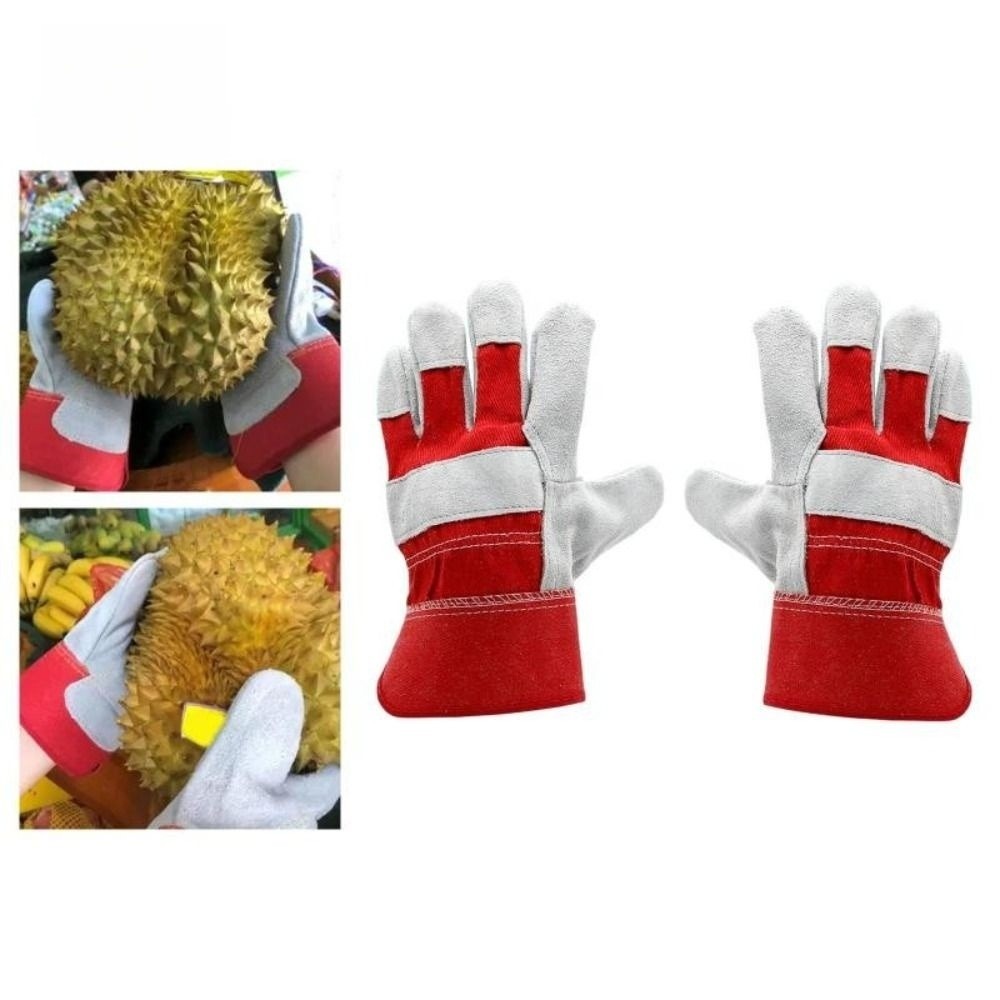 قفازات حدائق من جلد البقر مقاو - مراجعة Cut Resistant Glove وسعره