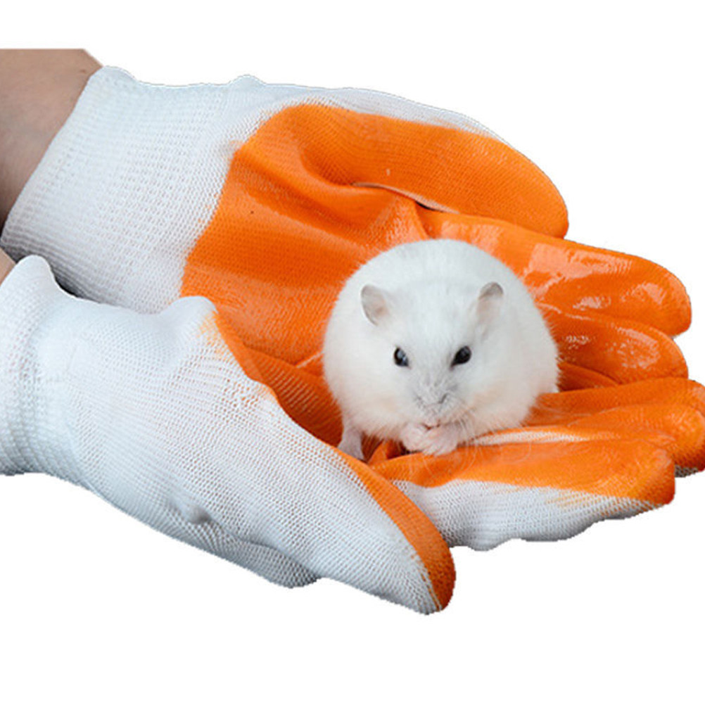 زوج واحد من قفازات حماية الحيو - مراجعة Cut Resistant Glove وسعره
